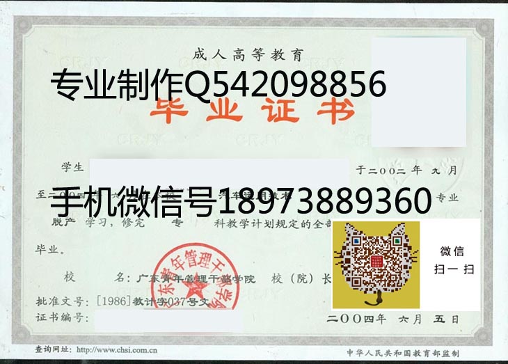 广东青年管理干部学院2004 拷贝.jpg