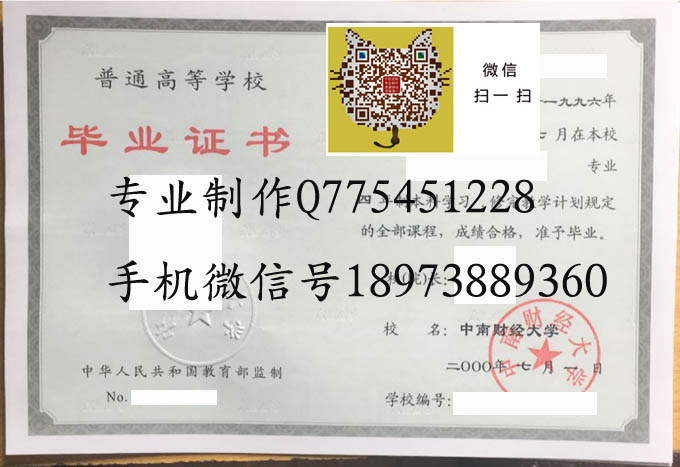 中南财经大学2000 拷贝.jpg