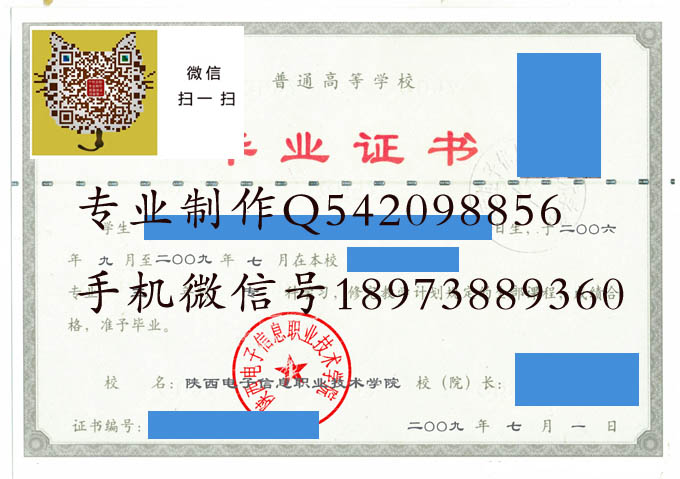 陕西电子信息职业技术学院2009 拷贝.jpg