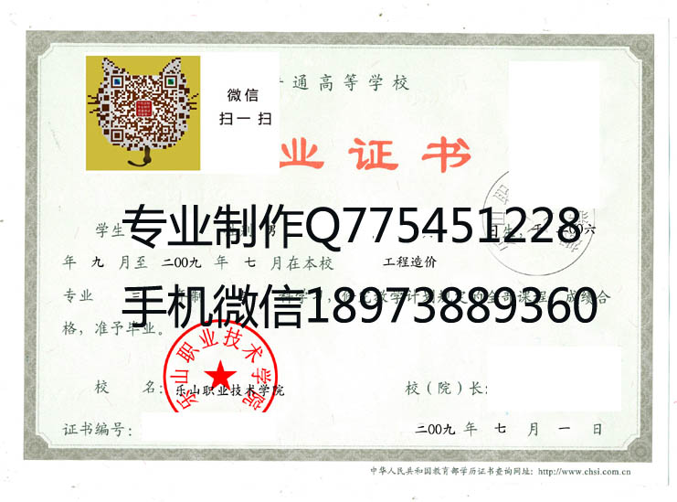 乐山职业技术学院2009 拷贝.jpg