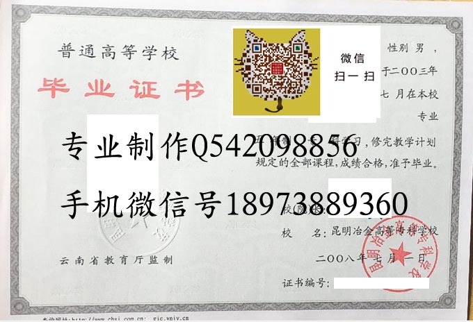 昆明冶金高等专科学校2008 拷贝.jpg